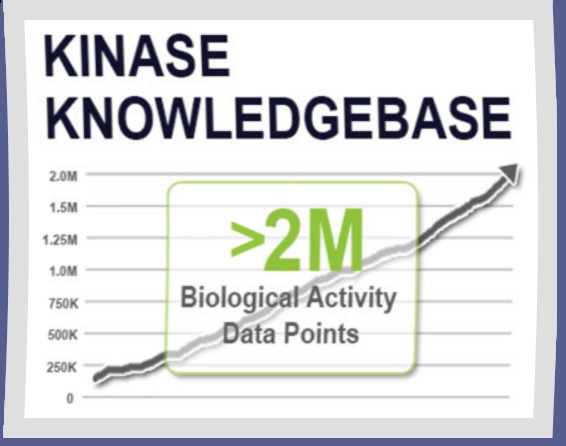 Kinase Knowledgebase Interface