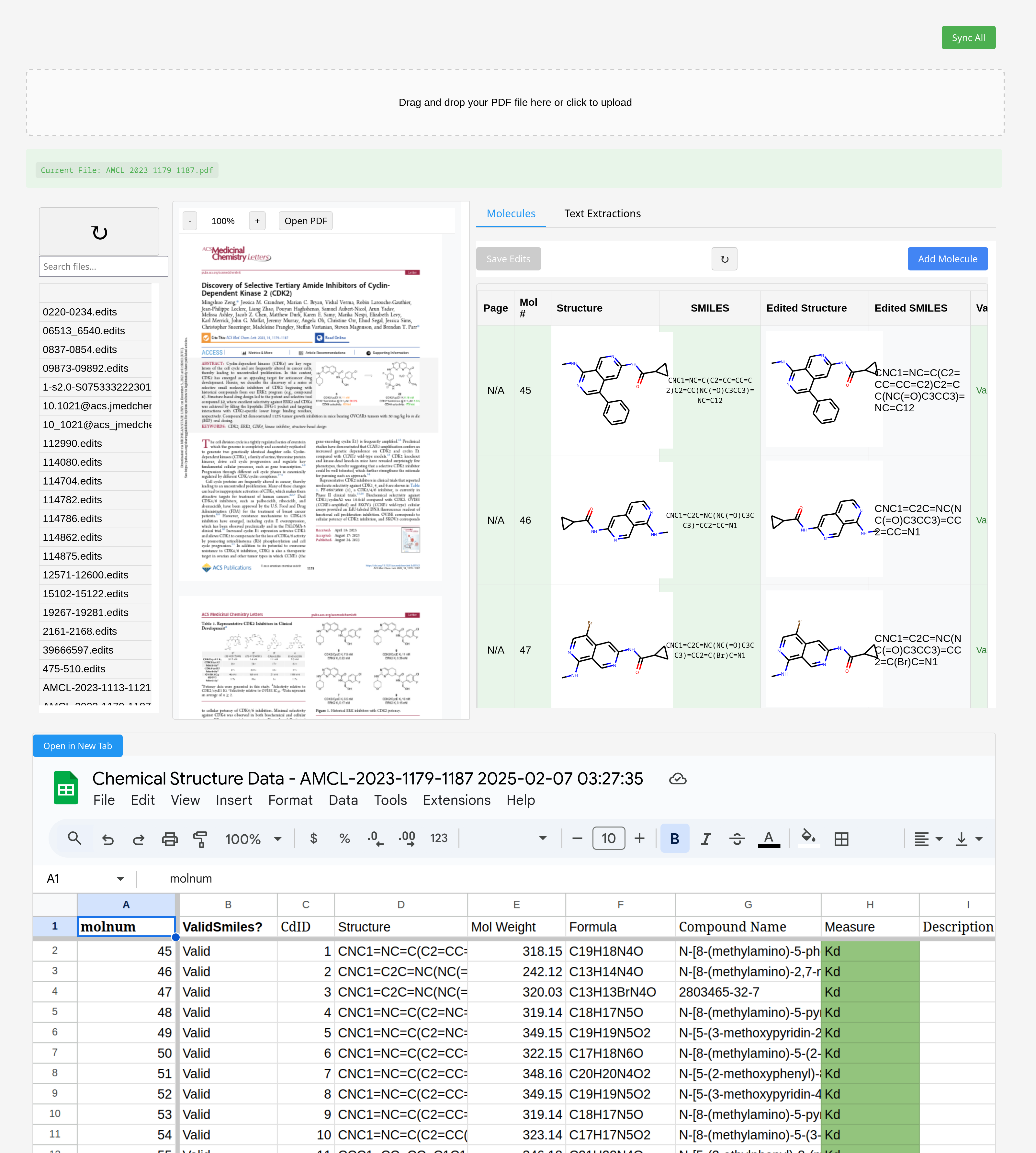 PDF Processing Workflow