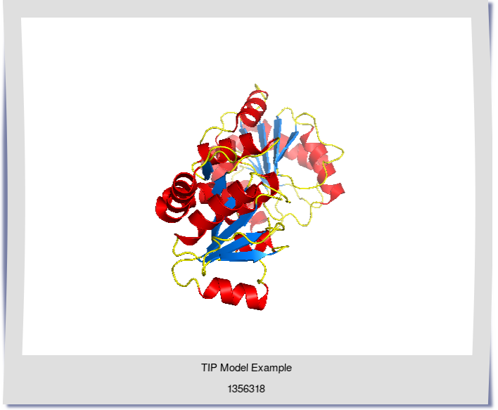 Protein Model
