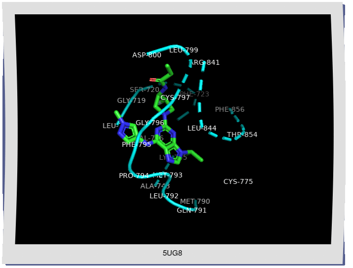 Protein-Ligand Binding